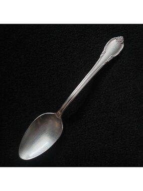 Remembrance By 1847 Rogers Bros Vintage Silverplate Teaspoon